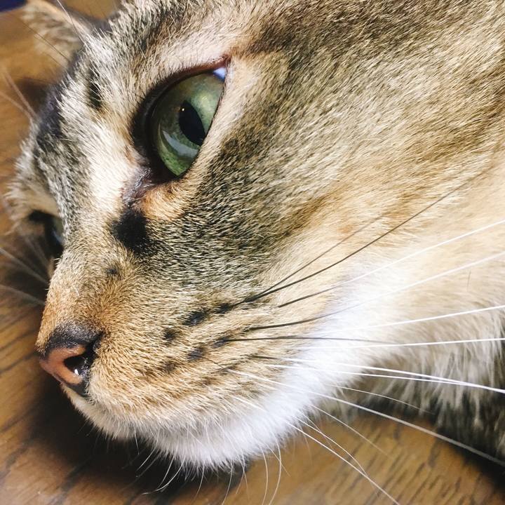 D40f9b43 d613 47c8 95a3 7dfc2c5262d0 1586868836951