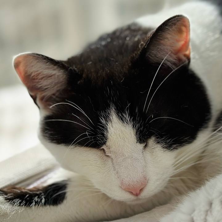 D4100806 928d 47bb bdb5 dbffc5839030 1680313216318