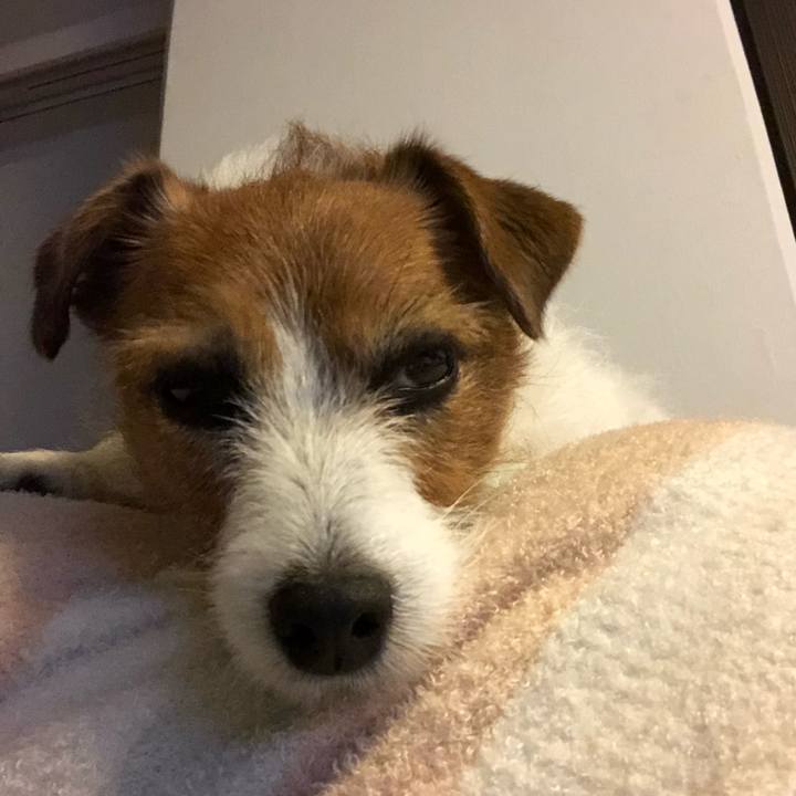 D41024c1 8338 475c 8696 5f3383b999b1 1587991368432