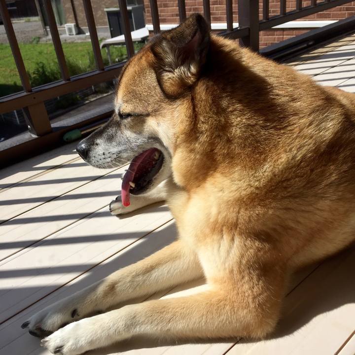 D41028c7 21f5 4c14 986b b671cf89c782 1567990615530