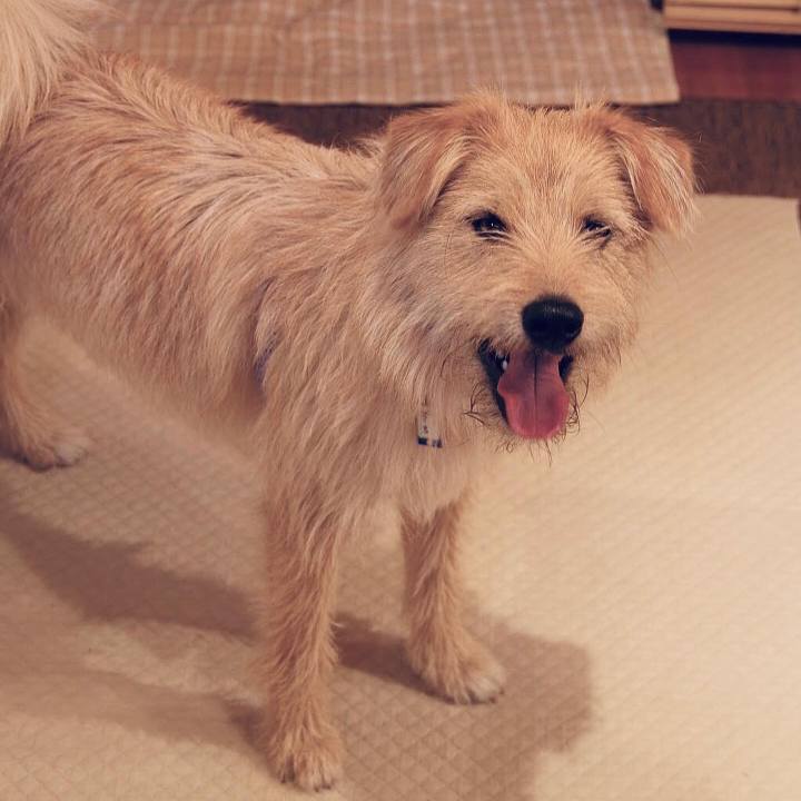 D4105176 418e 44dd aac3 2c28e72cf09f 1645874761077