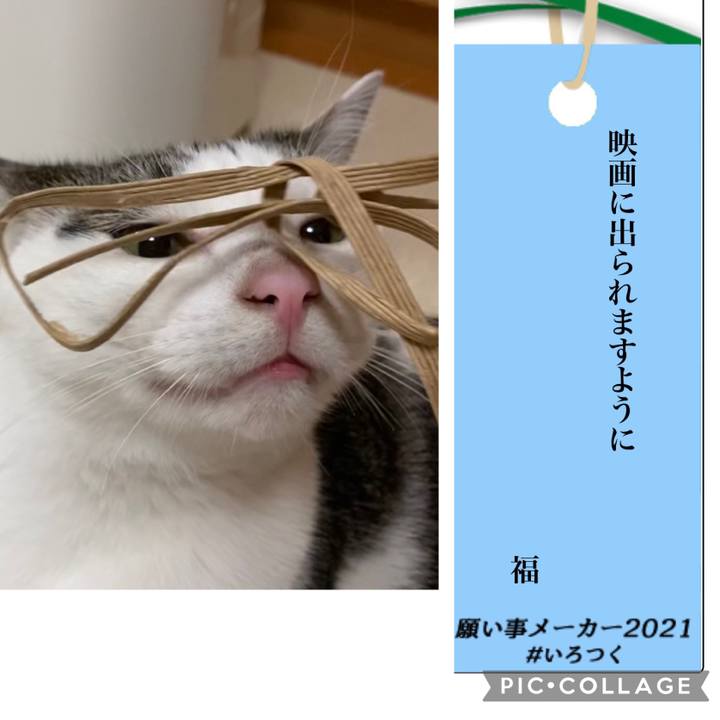 D41054b0 f64f 4043 a5c7 8844166e5a1a 1625652302835