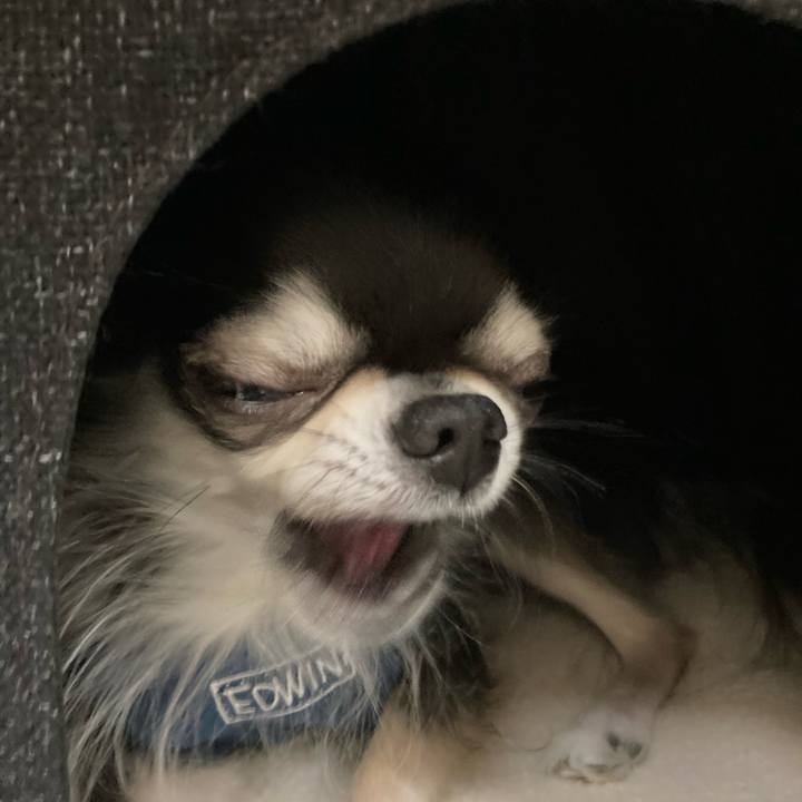 D4106b76 6033 497c 8561 564c822db38a 1669475164043