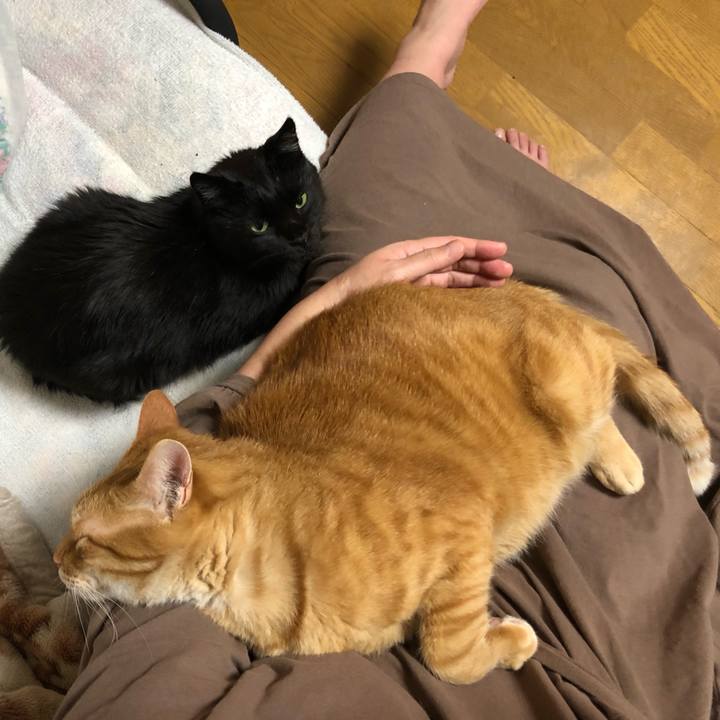 D410ae41 9fbf 47d7 812c 8914af098469 1603286730746