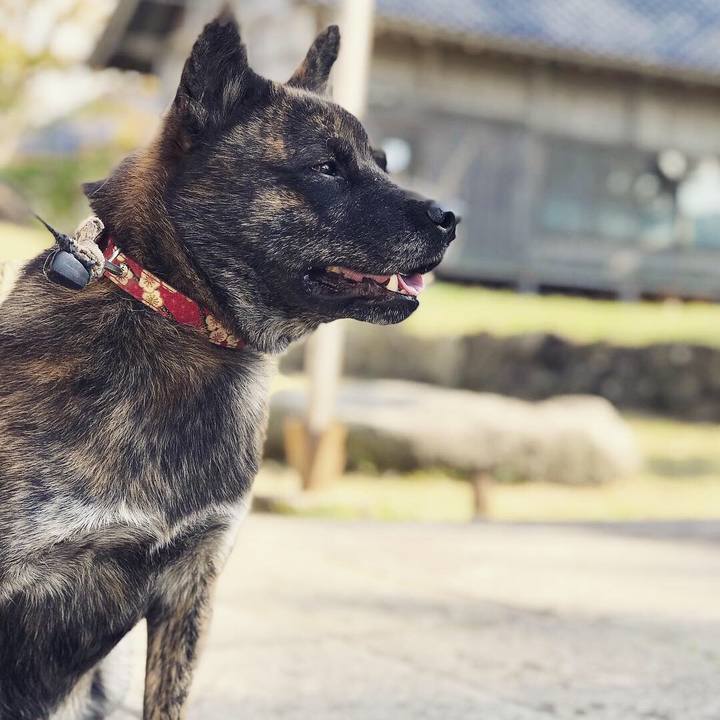 D410dc02 d579 4c76 9bc1 fe83f59c1679 1539668332977