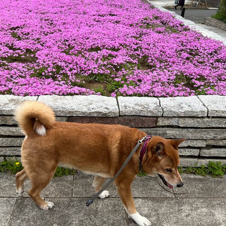 D4112d6d 8713 491f 840f 3b3292ad2971 1745124476745