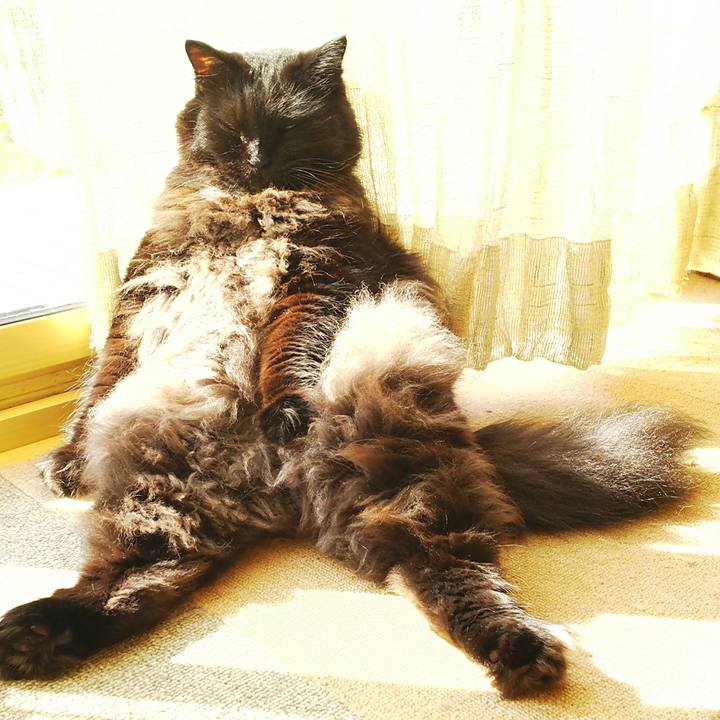 D41182d8 90ff 4dcc 91f7 21424fb26550 1508806009197