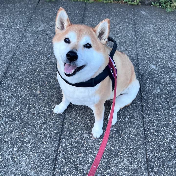 D411ac14 4d08 41da 8ee5 2eaede1020ca 1713263313070