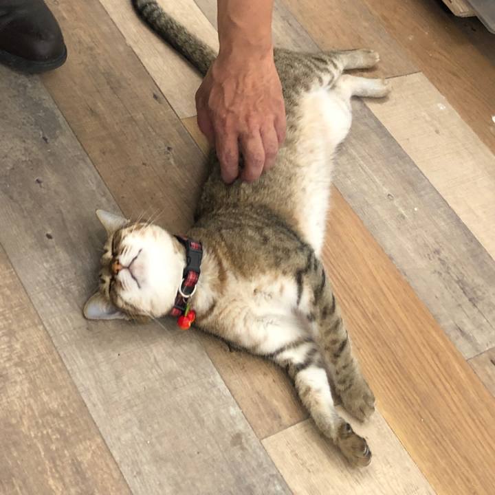 D411c4ba c69f 4ac5 95f1 1b11e200c681 1628230514141