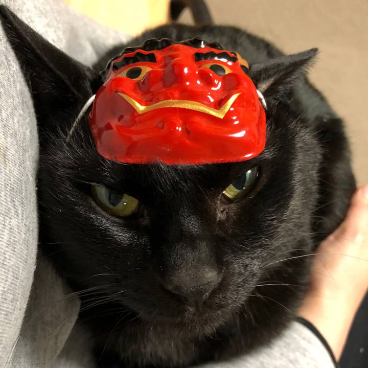 D411e1c9 4778 4fe8 8cef 24782e7f298c 1675456463912