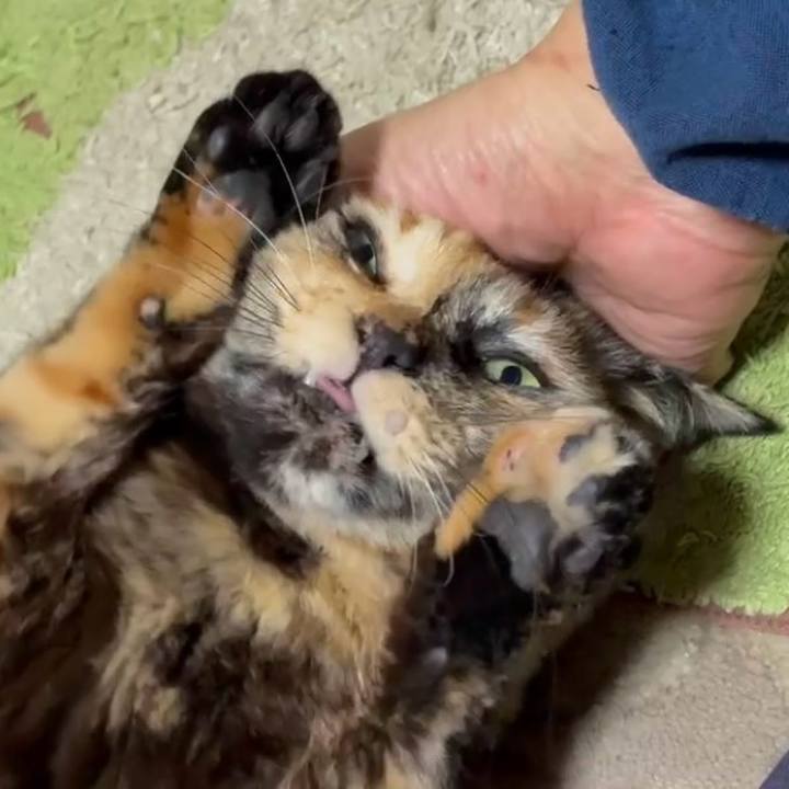 D411ed2c 6639 4c80 b308 6061b54848cb 1772746215671