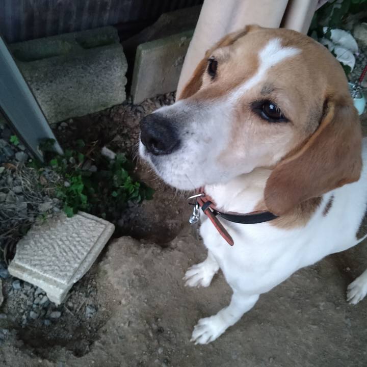 D411fc24 7440 4e3b b7b7 b44688b5699f 1652869357523