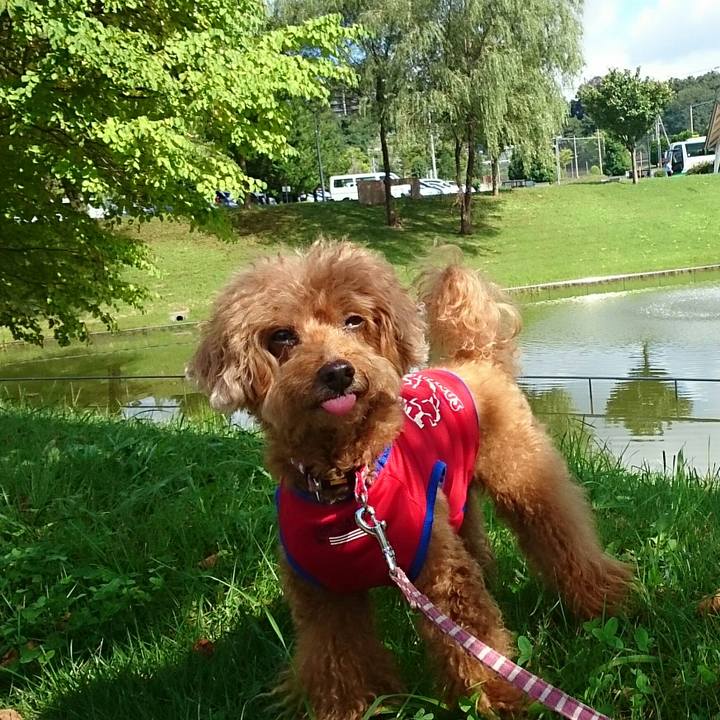 D412108e eb51 4c03 b8be 6f7fa59d45ce 1537060584352