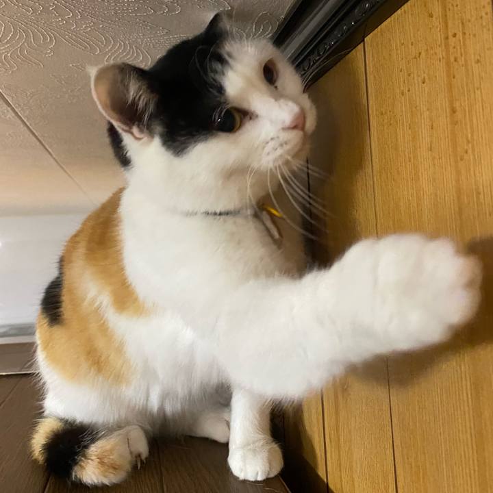 D4126d91 1a52 46b3 b884 3358e3f892c8 1647376827916