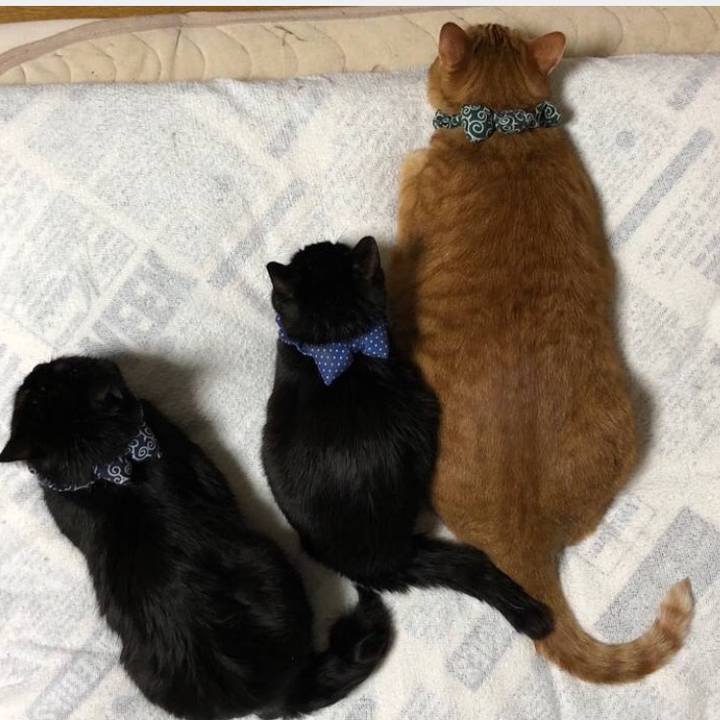 D412792f 9848 4c4c 9815 1e5da1ae4b79 1613874907186