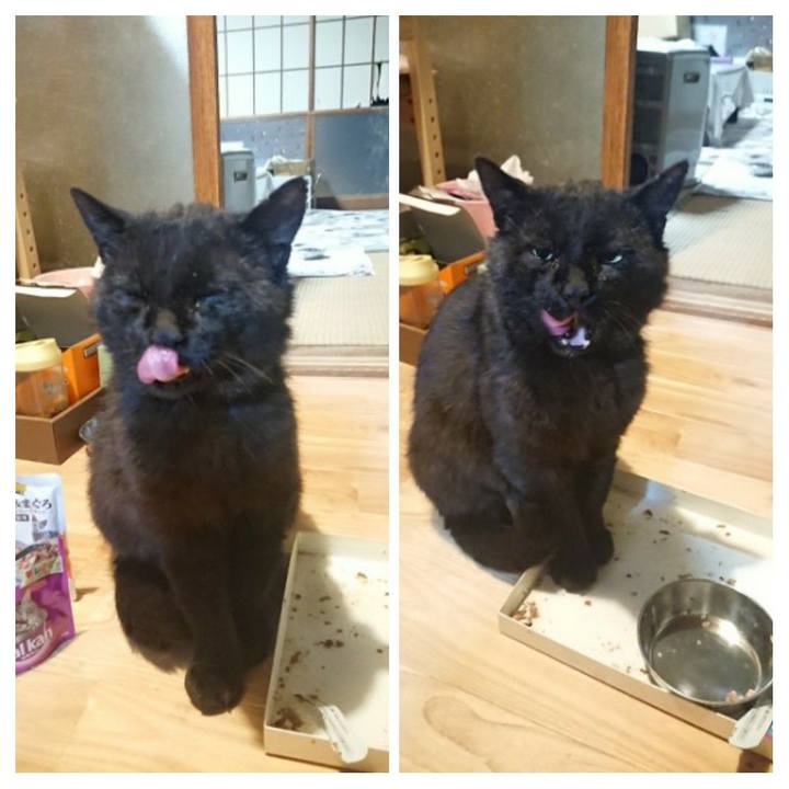 D4129707 1e46 4b18 82a5 d6a89e1f343a 1622375424884