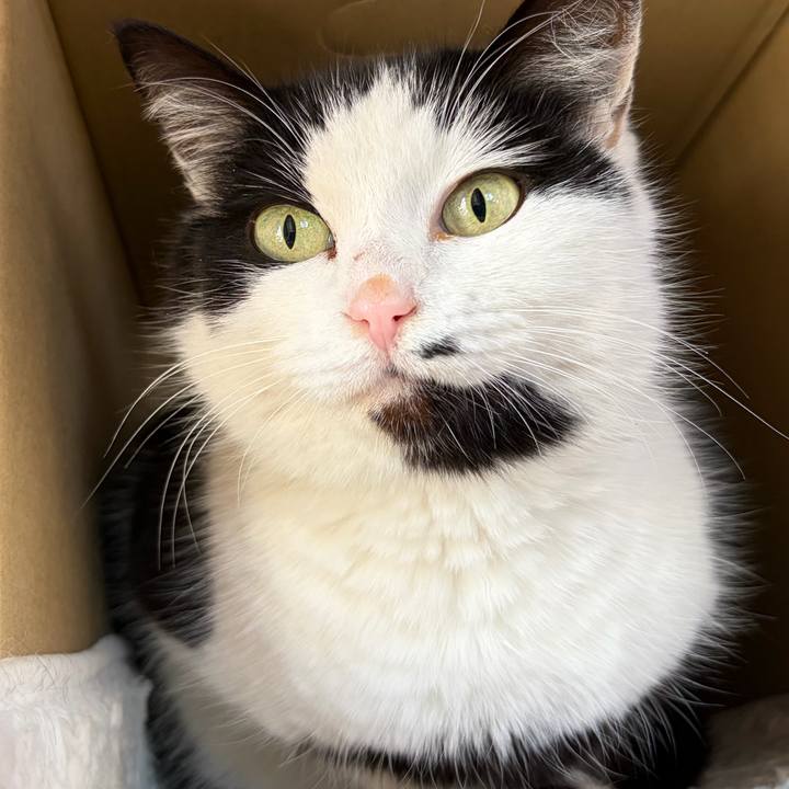 D412a689 0aed 467c a8b6 dc270e02c6b8 1766733611253