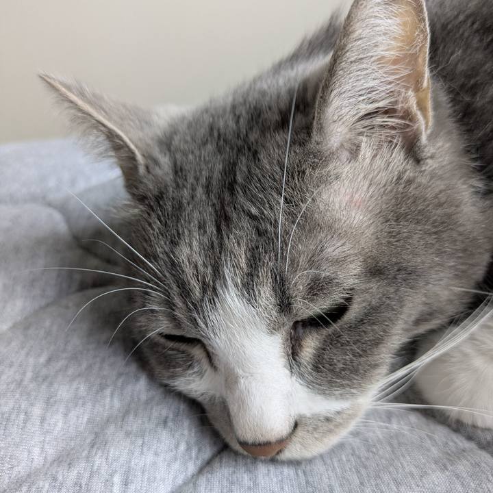 D412b59f 9df7 4f98 9543 537d6df8c7ae 1759451738049