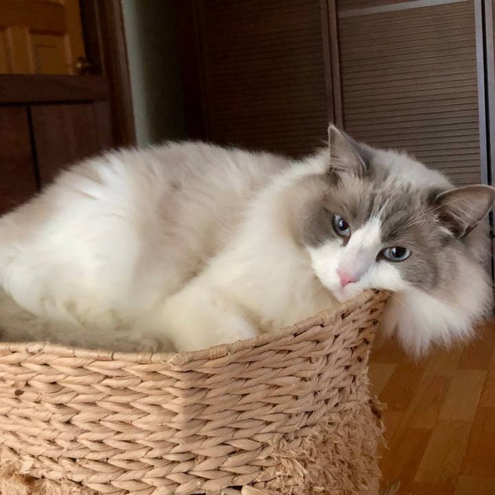 D412daae 01ab 479a b492 6ffb12b28bae 1613177129639