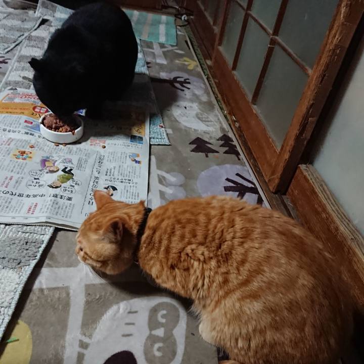 D412de87 1c0e 4ad6 a27f b81556dd07c7 1646303154879