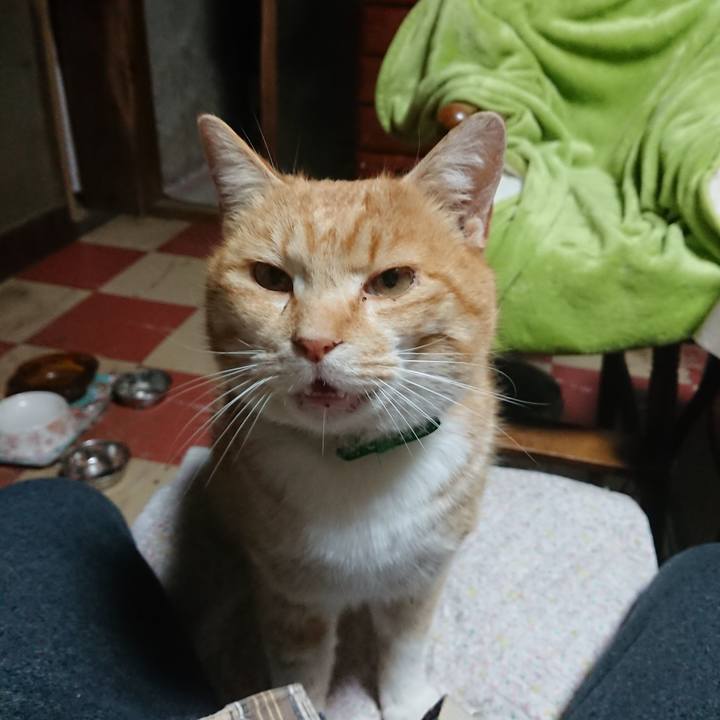 D41304aa b5b5 4b26 a737 013ccb0feea2 1582746695978