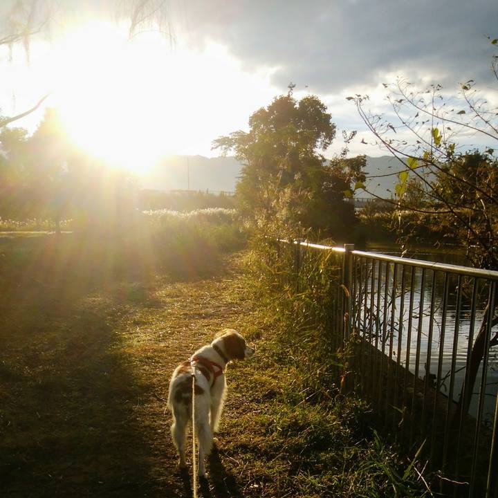 D4130926 adf9 4b7e 947f 278b2c1ebaa2 1541116810924