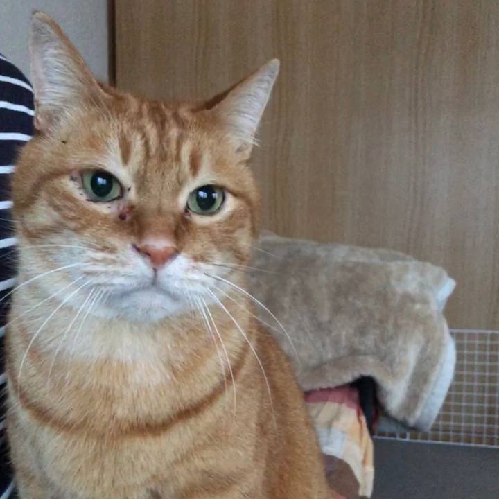 D413202f 583c 46f8 a3e1 9a6915806a32 1677015116946