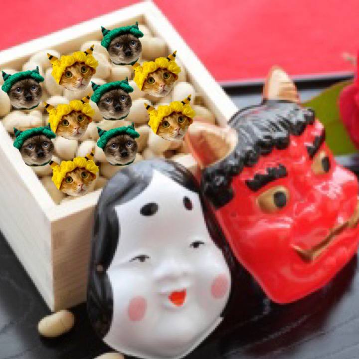 D4132232 64a3 4c22 8a6c 8f7e58646729 1580676579212