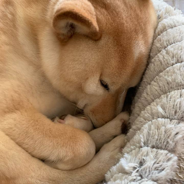 D4132e43 6c31 4772 b56d 4ec2b6edf36c 1656637759103