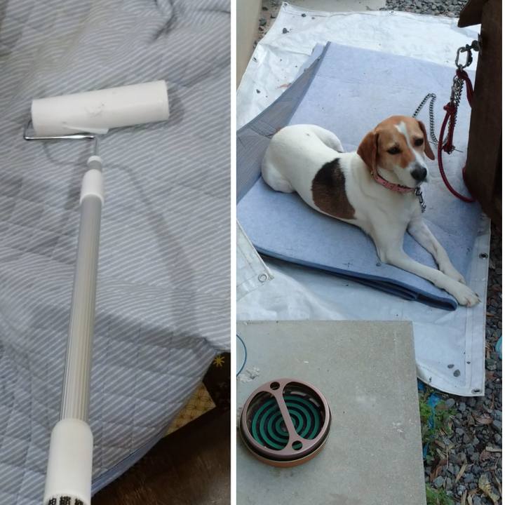 D413536c 64ed 4cd6 8c29 6e552be57db1 1592821219091