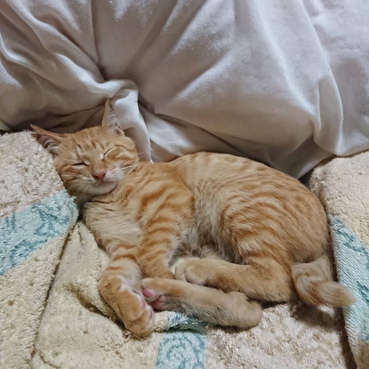 D413618e 1746 46d0 9e63 7df210d983a9 1633607108496