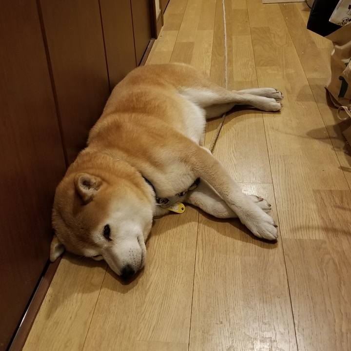 D413d8eb e97c 419c 8a86 88c45b580528 1568455252466