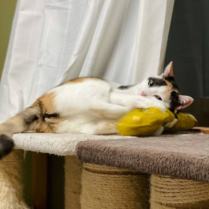 D413e45d b356 4a17 b87a 742260a6599d 1620009239193