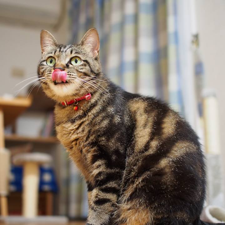 D41406a4 ca32 414a 8339 d9f97ffa7913 1594736303954