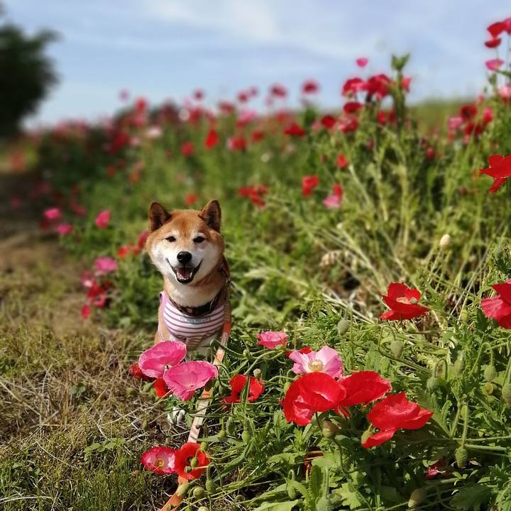 D41428aa 33d2 4efa 9970 cc58bdca75f4 1683632284845