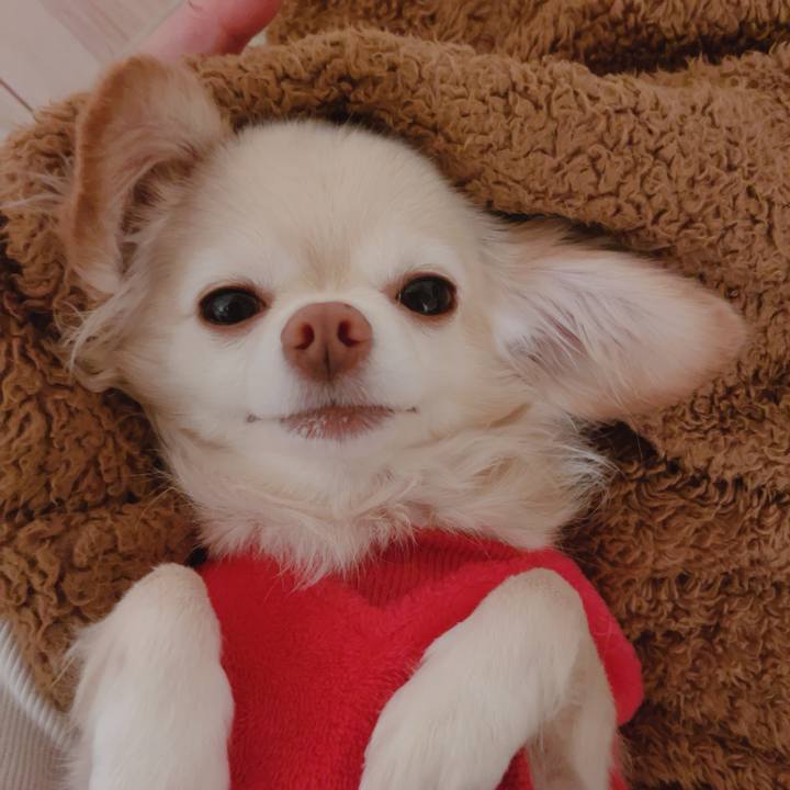 D41451a3 f140 4d8c 83b0 7b3120e85a61 1765191434360