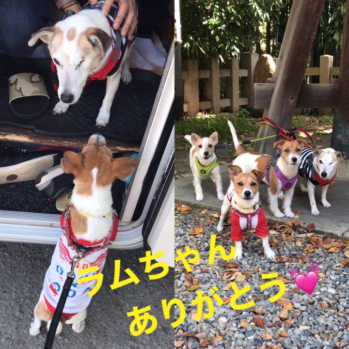 D41455c6 464b 461b a8d9 561caf69f7be 1611143478992