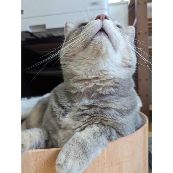 D4149b74 ae51 4880 8ec0 66a1d2144635 1692331908288