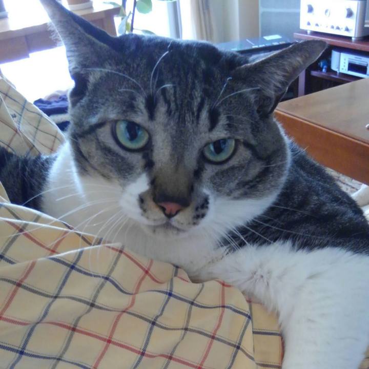 D414a036 1fea 428d b4f5 def334ad6d37 1513389282057