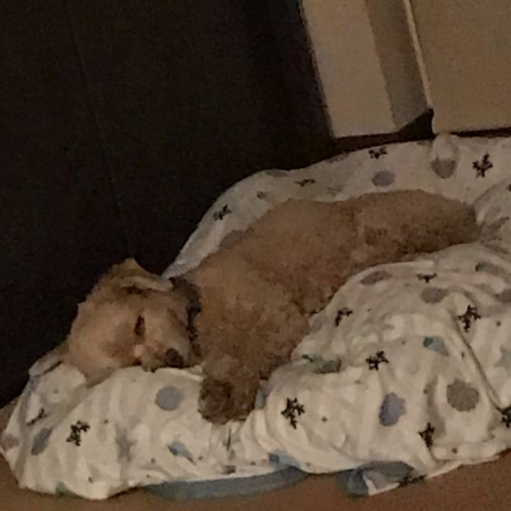 D414a1b8 1e48 4873 a5b5 0e196a69f01c 1563892582724