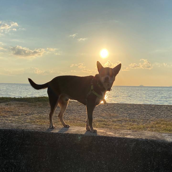 D414e650 64ff 4e6c 8e2d 4fd94da6a392 1635328726112