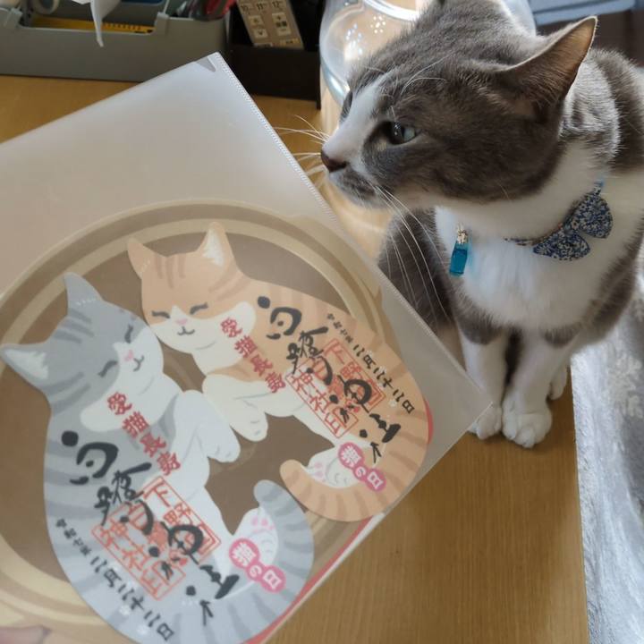 D4151280 acfb 45f0 8c1a 5ea2fd10638d 1739866591082