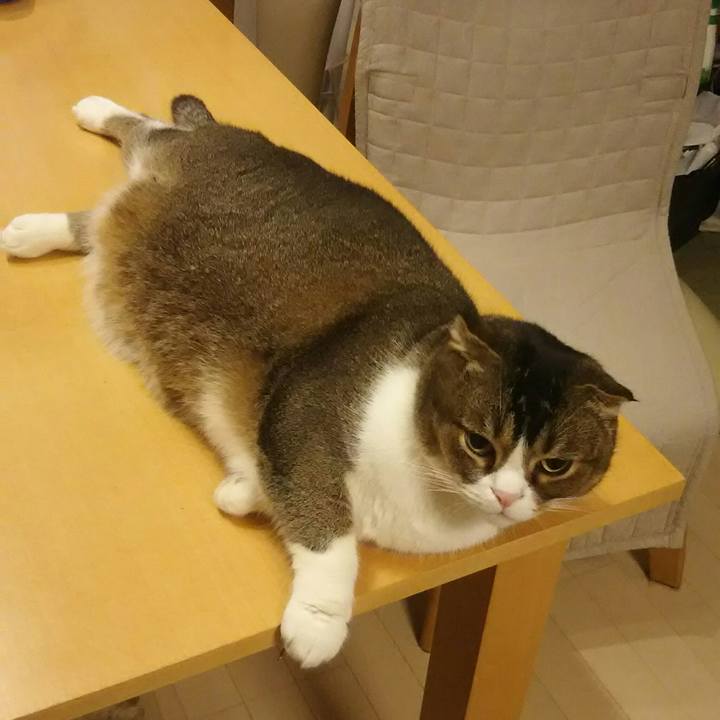 D4155501 3263 49c4 b668 345f72e04663 1547647701673