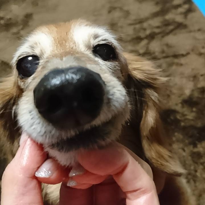 D4156d03 aa91 4840 8737 cd587e9af047 1513848596627