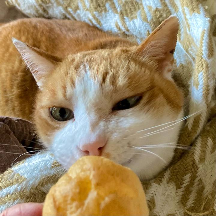 D41584a8 bdd2 4682 96d9 8d7db0eab1e9 1649486232253