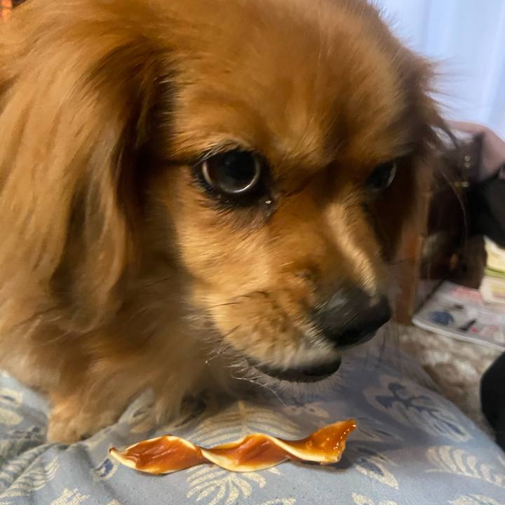 D41591cc d2ef 4852 a278 dcec78f49891 1608242140176