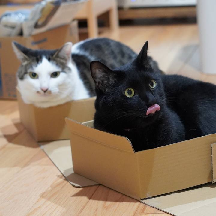 D415cae9 c920 4c2d b69e b8cd7aec5895 1623072673966