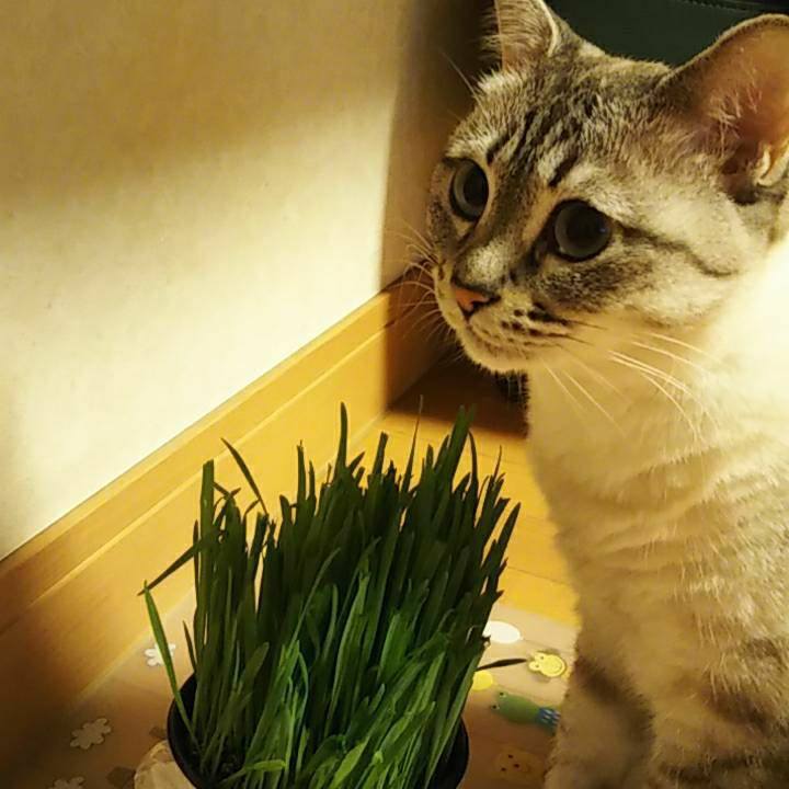 D415e044 4f1a 4657 839c eb7a04f5aeb0 1561806645229