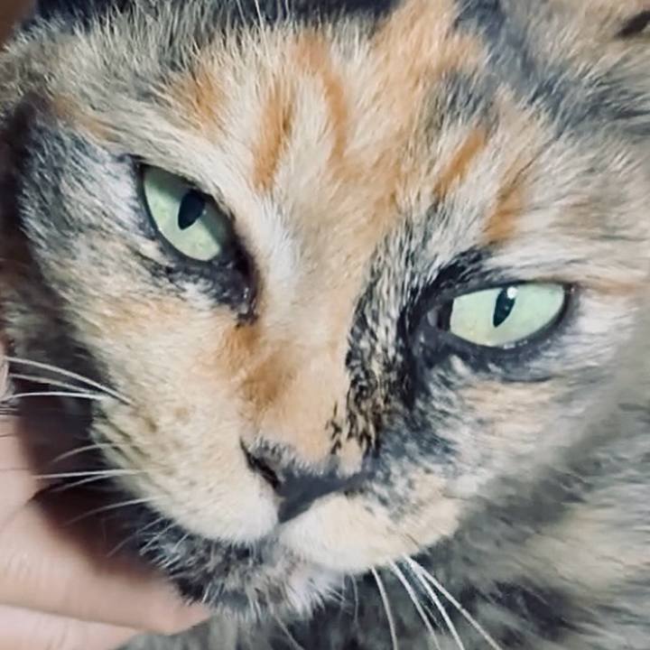 D415e2f5 82c0 4918 92f5 6345f61ade9d 1751144567306