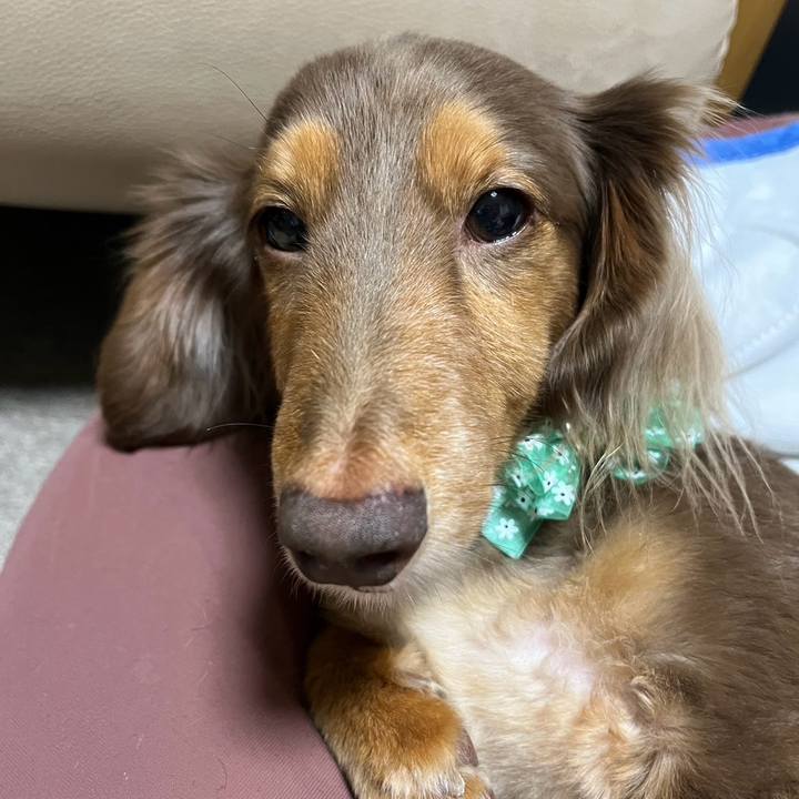 D415f4a7 40a3 4be6 8658 975e18678967 1764110251663